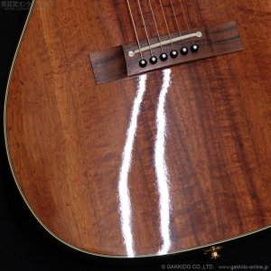 画像7: Takamine　2011 PTU431K N [中古品]