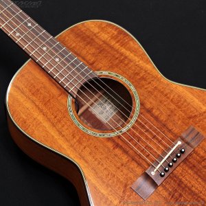 画像8: Takamine　2011 PTU431K N [中古品]