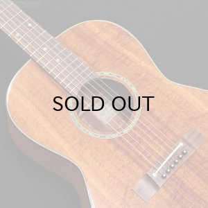 画像8: Takamine　2011 PTU431K N [中古品]
