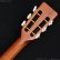 画像14: Takamine　2011 PTU431K N [中古品] (14)