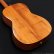 画像15: Takamine　2011 PTU431K N [中古品] (15)