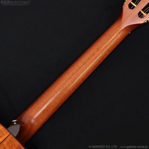 画像12: Takamine　2011 PTU431K N [中古品]