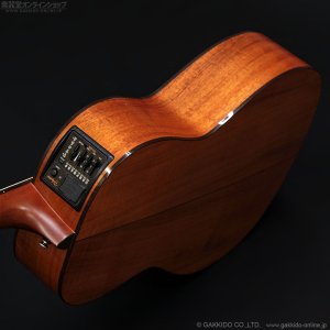 画像6: Takamine　2011 PTU431K N [中古品]