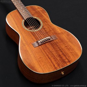 画像4: Takamine　2011 PTU431K N [中古品]