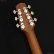 画像7: K.Yairi　TRY Cuban Tres Guitar トレス・ギター (7)