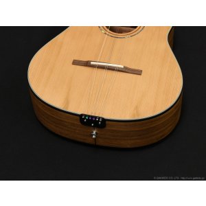 画像3: K.Yairi　TRY Cuban Tres Guitar トレス・ギター