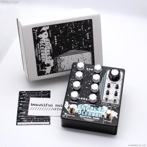 画像5: Beautiful Noise Effects　ENDLESS SLEEPER II デュアル・ディレイ 直輸入品