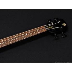 画像5: Spector　Legend 4 Custom [Black Stain Gloss] [中古品]