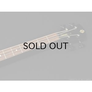 画像5: Spector　Legend 4 Custom [Black Stain Gloss] [中古品]