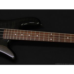 画像4: Spector　Legend 4 Custom [Black Stain Gloss] [中古品]