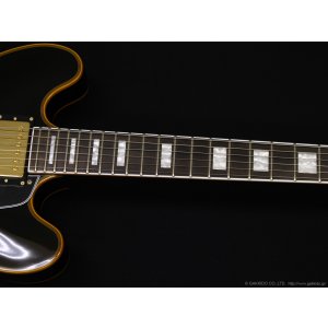 画像5: Edwards　E-SA-CTM [Black]