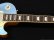 画像4: Grassroots　G-LP-STD [Pelham Blue] (4)