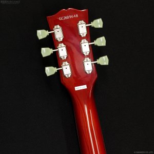 画像7: Grassroots　G-LP-STD [Cherry Sunburst]