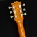 画像6: Grassroots　G-LP-STD [Gold Top] (6)