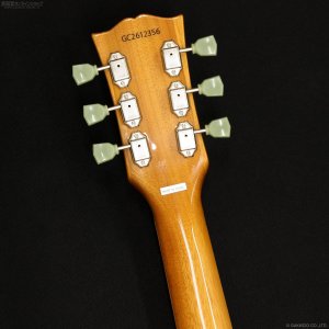 画像6: Grassroots　G-LP-STD [Pelham Blue]
