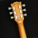 画像6: Grassroots　G-LP-STD [Pelham Blue] (6)