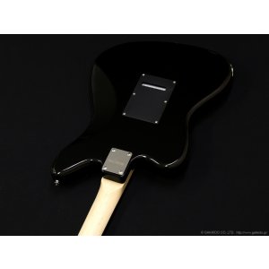 画像7: Schecter　OL-AR-TM-2H [Black]