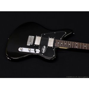 画像3: Schecter　OL-AR-TM-2H [Black]
