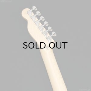 画像7: SCHECTER　PA-LS/TK [Blonde]