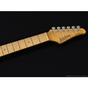 画像6: Soloking  MTV-1 SSS [Butterscotch Blonde]