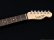 画像5: SCHECTER　PA-LS/TK [Blonde] (5)
