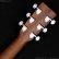 画像6: Martin　00-X2E Coco (6)