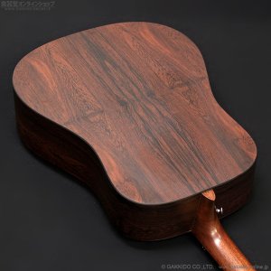 画像9: Martin　D-X2E Billy Strings