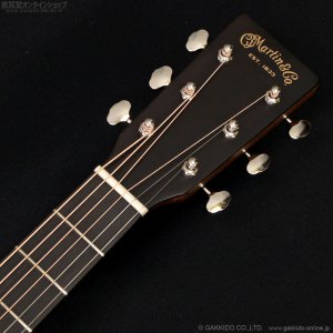 画像5: Martin　D-X2E Billy Strings