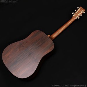 画像10: Martin　D-X2E Billy Strings
