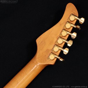 画像14: FERNANDES　FR-150Sタイプ [中古品]