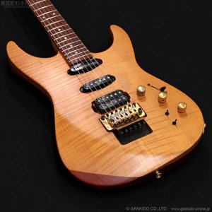 画像4: FERNANDES　FR-150Sタイプ [中古品]