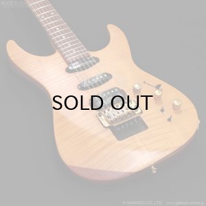 画像4: FERNANDES　FR-150Sタイプ [中古品]