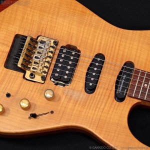 画像7: FERNANDES　FR-150Sタイプ [中古品]