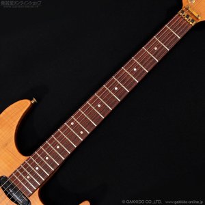 画像11: FERNANDES　FR-150Sタイプ [中古品]