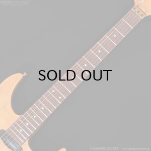 画像11: FERNANDES　FR-150Sタイプ [中古品]