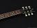 画像5: YAMAHA　RSS20 REVSTAR [Sonic Blue] (5)