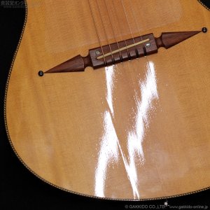 画像9: Rick Turner Guitars　1999 RS-6 Custom “Rosewood” [中古品]