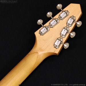 画像16: Rick Turner Guitars　1999 RS-6 Custom “Rosewood” [中古品]