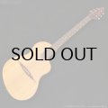 Rick Turner Guitars　1999 RS-6 Custom “Rosewood” [中古品]