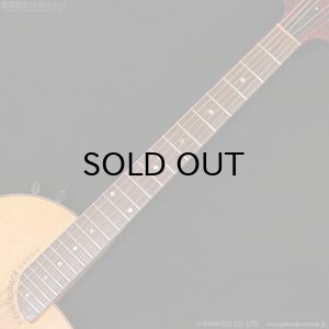 画像13: Rick Turner Guitars　1999 RS-6 Custom “Rosewood” [中古品]