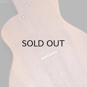 画像18: Rick Turner Guitars　1999 RS-6 Custom “Rosewood” [中古品]
