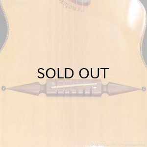 画像8: Rick Turner Guitars　1999 RS-6 Custom “Rosewood” [中古品]