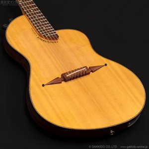 画像5: Rick Turner Guitars　1999 RS-6 Custom “Rosewood” [中古品]