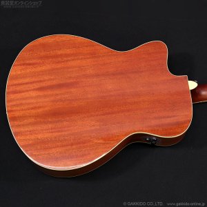 画像12: YAMAHA　FSC-TA VT [アウトレット特価品]