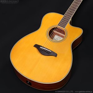 画像2: YAMAHA　FSC-TA VT [アウトレット特価品]