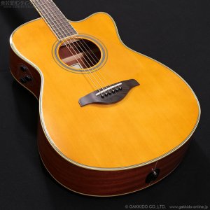 画像3: YAMAHA　FSC-TA VT [アウトレット特価品]