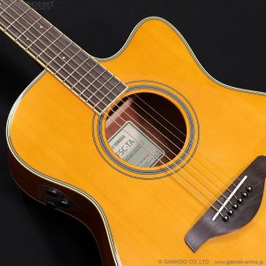 画像4: YAMAHA　FSC-TA VT [アウトレット特価品]