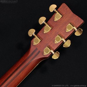 画像8: YAMAHA　LL16 ARE [アウトレット特価品]