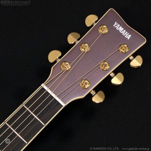 画像7: YAMAHA　LL16 ARE [アウトレット特価品]