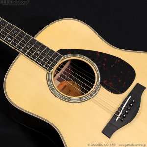 画像6: YAMAHA　LL16 ARE [アウトレット特価品]